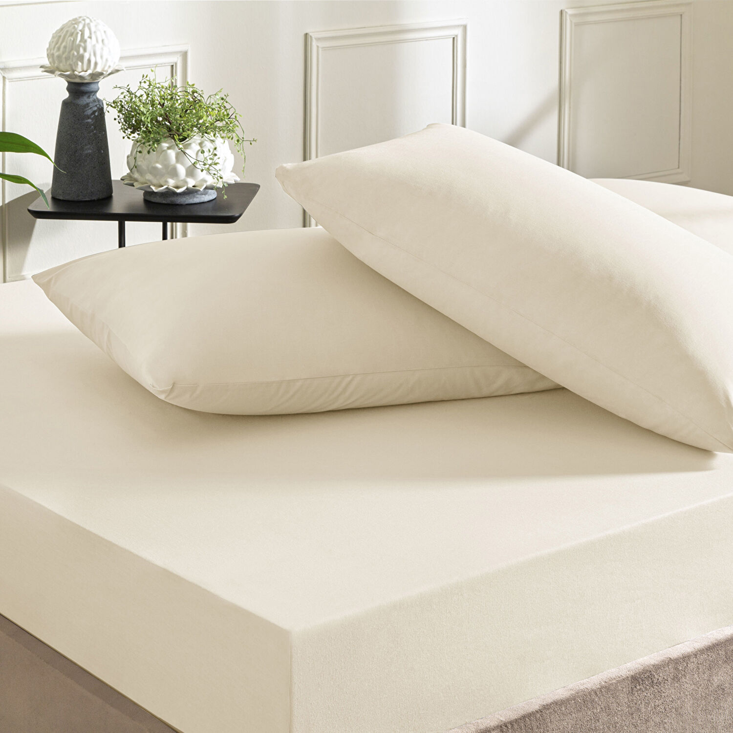 Taç Color Dreams Ranforce Tek Kişilik Çarşaf Seti Ekru