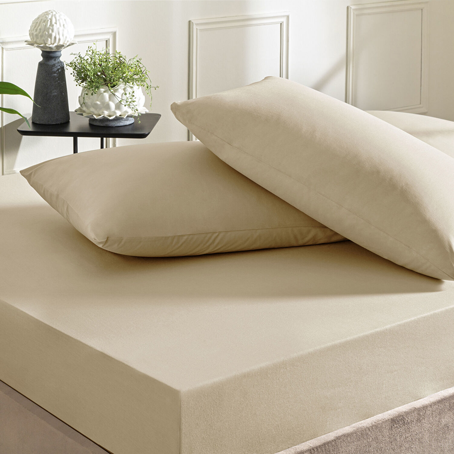 Taç Color Dreams Ranforce Tek Kişilik Çarşaf Seti Vizon