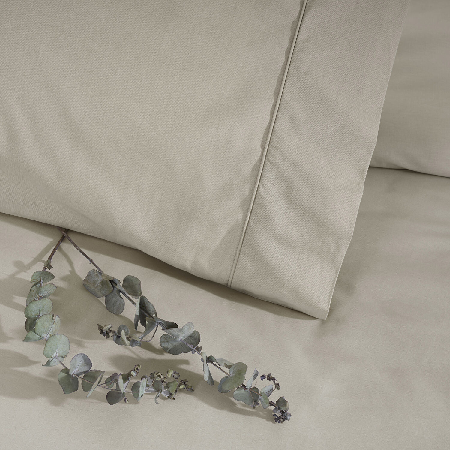 Taç Basic Ranforce Tek Kişilik Nevresim Takımı Vizon