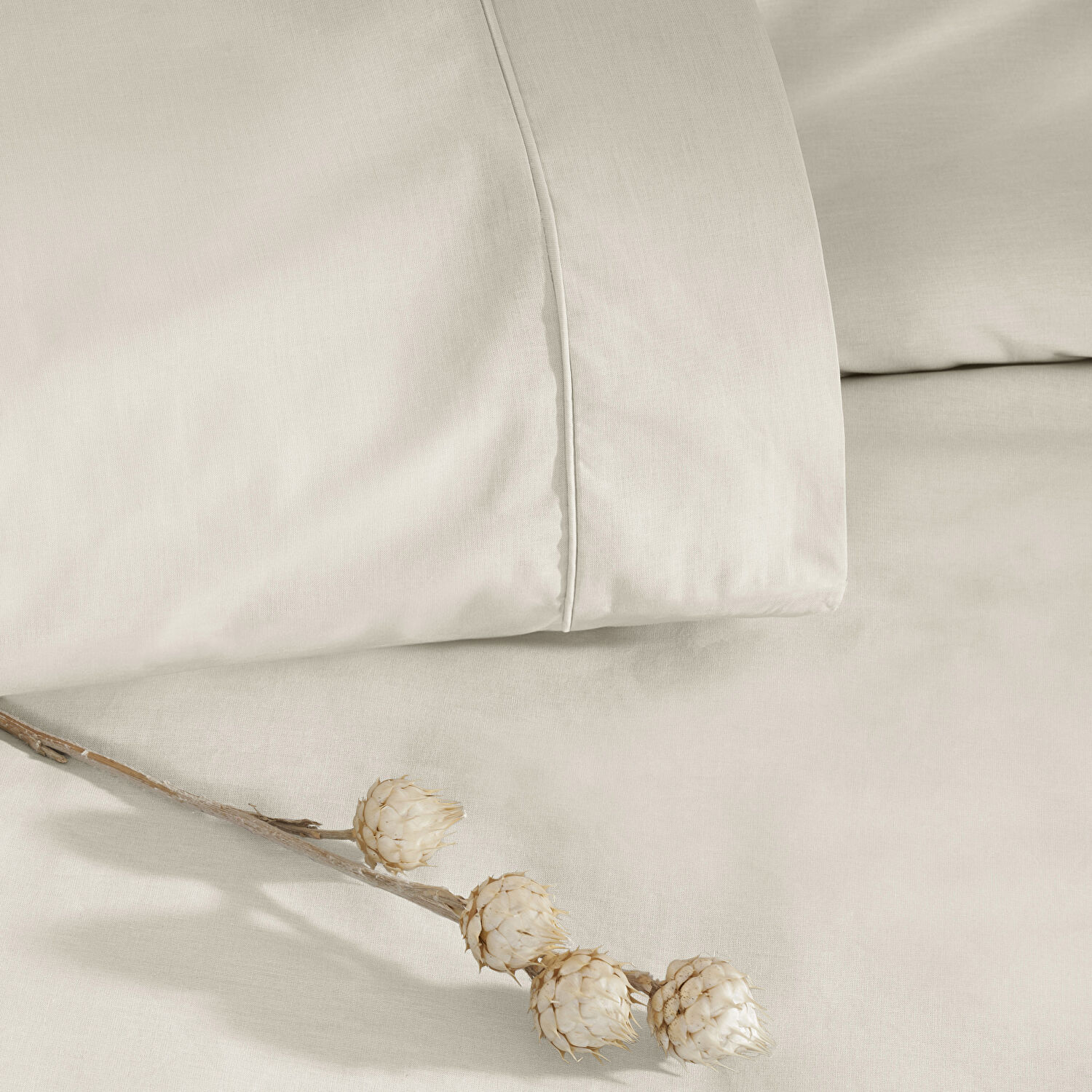 Taç Basic Ranforce Çift Kişilik Nevresim Takımı Ekru