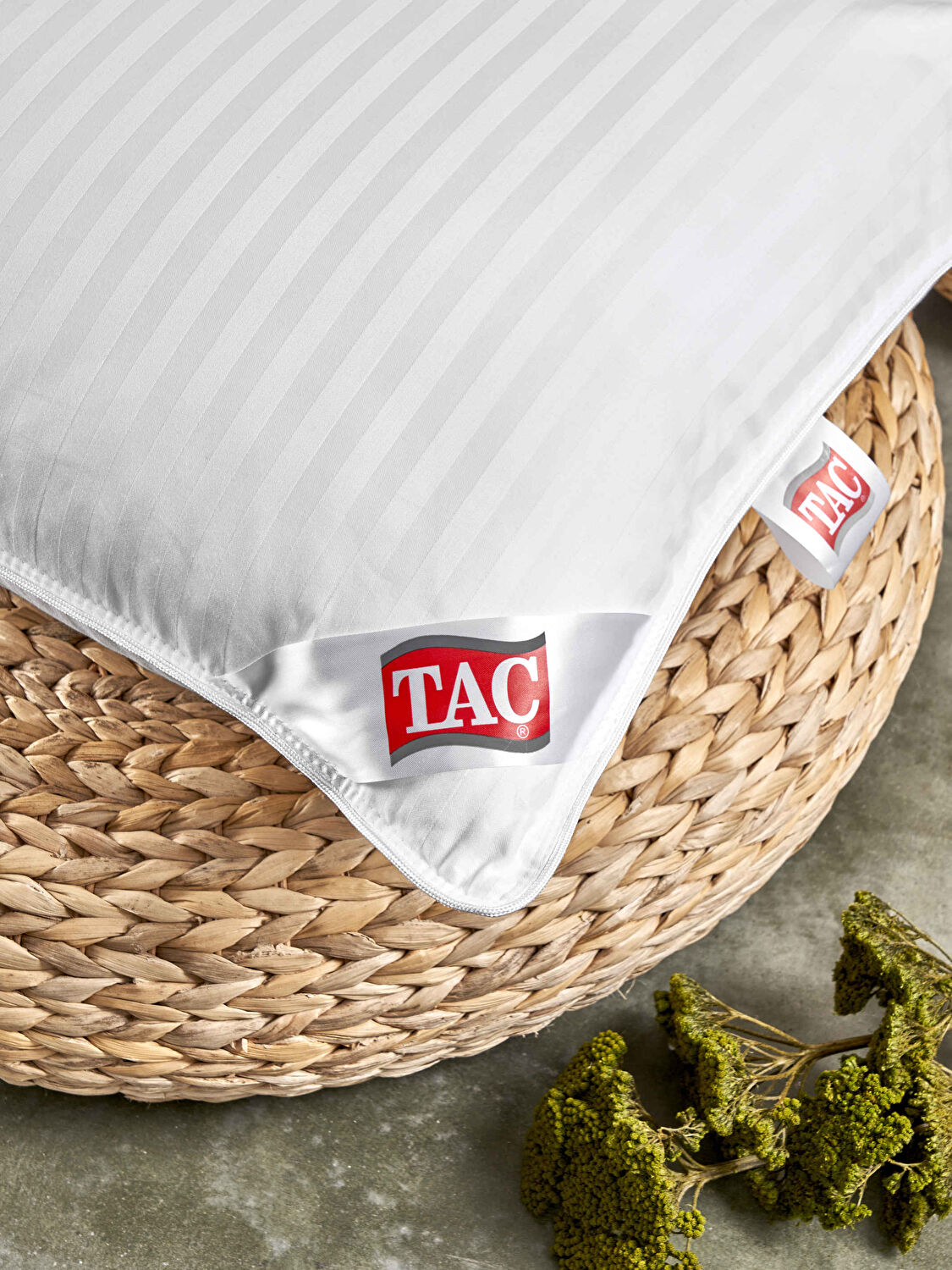 Taç Ascot 50x70 Yastık Beyaz
